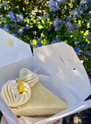 Lemon cheesecake - delicious!! at Petunia's Pies and Pastries in Portland