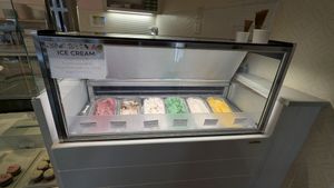 Ice cream at Petunia's Pies and Pastries in Portland