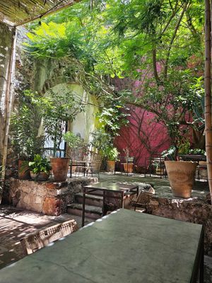  at Garambullo in San Miguel De Allende