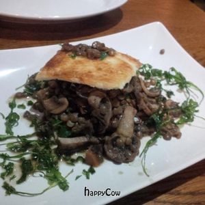 Amazing mushroom and lentil mille feuille at Amico Bio - Holborn  in London