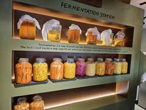  at The Veg Box Cafe - London in North West London