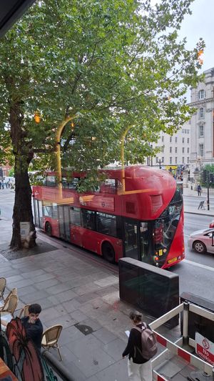  at The Veg Box Cafe - London in North West London