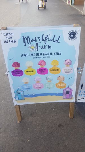 Flavours 👍 at Chill At Planet Ice Cream in Scarborough