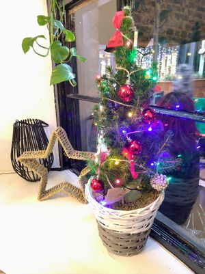 December 2023 at Blue's Cafe in Cork