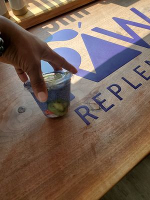 Spirulina Chia Pudding at Raw Replenish - Maybe closed in Royersford