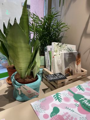   at HummusPlantCafè in Ancona