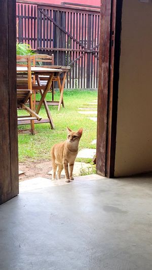  at CASAVEG in Canoa Quebrada