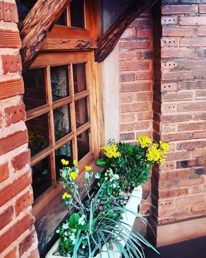 Presença de muitas plantas, flores. A natureza é muito presente no Yellow deli. at The Yellow Deli in Londrina