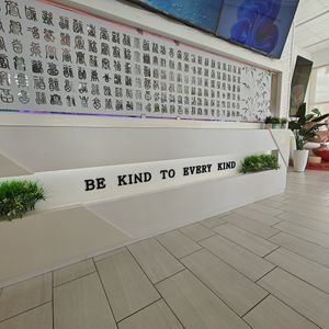  at VeGreen Noodle   in Buford