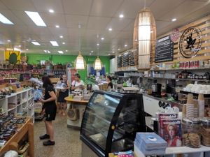 Happy Frog Counter at The Happy Frog in Coffs Harbour