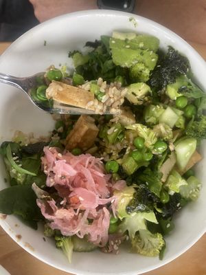   at The Happy Frog in Coffs Harbour