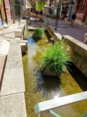 Little stream in the street. at À Tantôt in Rouen