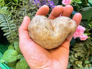 Kochen mit Herz und Liebe at Pinakarri in Luzern