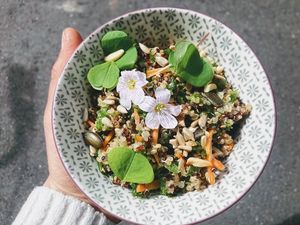  at Pinakarri in Luzern