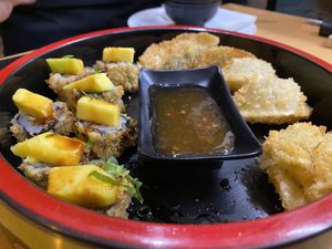 Hot Roll starter and Fried Gyoza starter  at Vegan Sushi House  in Lisbon