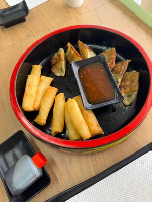 Spring rolls and gyozas (gluten-free) at Vegan Sushi House  in Lisbon