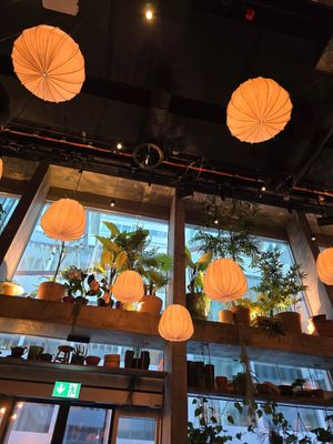  at Negishi Sushi Bar - The Circle in Kloten