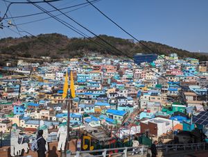 View from the back window at Bibibim in Busan