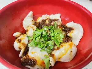 Veg dumplings   at Spicy Village in New York City