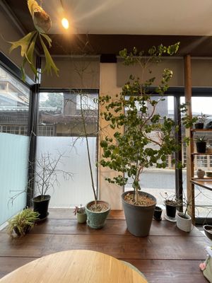   at Sonoma in Miyajima