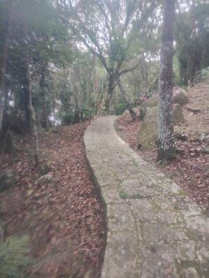  at Spitfire - Lagoa in Florianopolis