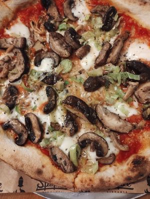 Zoom in the cogumelos at Spitfire - Lagoa in Florianopolis