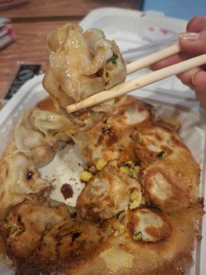  at Dumpling Shop in Montreal