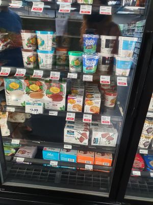 Vegan Ice Cream  at Chamberlin's Natural Foods in Lake Mary