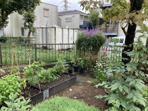   at Tombolo Twins in Kamakura