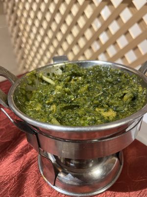   at Delhi Darbar  in Gran Canaria