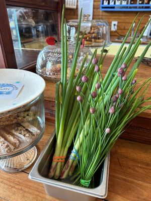  at Chicory Blue in Lunenburg