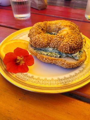 Bagel with vegan cream cheese at Chicory Blue in Lunenburg