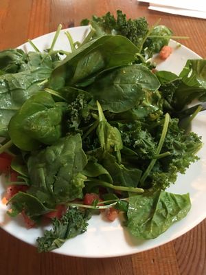 $13.85 for this - little else was hiding beneath these plain mixed greens  at Off The Tracks Cafe in Vancouver