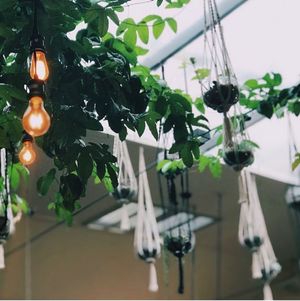  at East St Cafe and Bar in Nelson