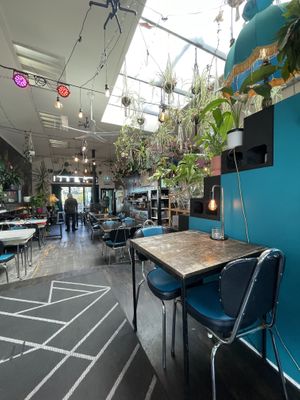 Plants!!  at East St Cafe and Bar in Nelson