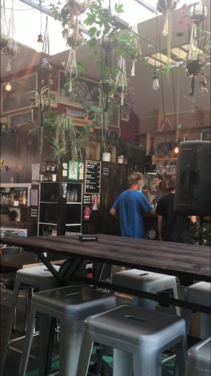 Love the indoor jungle at East St Cafe and Bar in Nelson