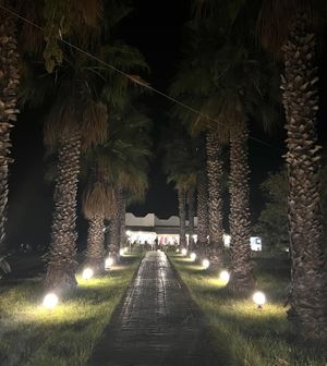 Entrance   at Ilia's Orchard in Skiathos