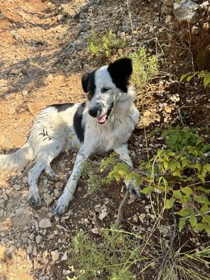 Rocco - god boy   at The House in the Village in Pellumbas
