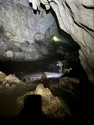Inner chamber   at The House in the Village in Pellumbas