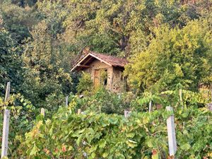   at The House in the Village in Pellumbas