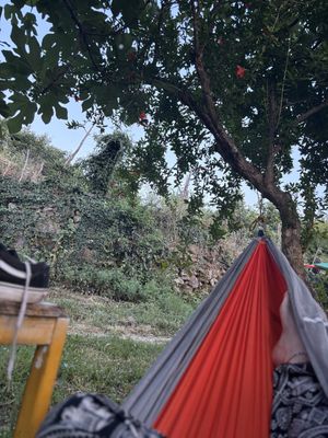 Hammocks dotted all around the garden   at The House in the Village in Pellumbas