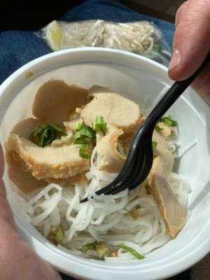 8. Rice noodles with V-chicken (second part of pho) at Nam Vegan Express in Burnaby