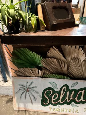  at Selva Taqueria Plantbased in Cabo San Lucas