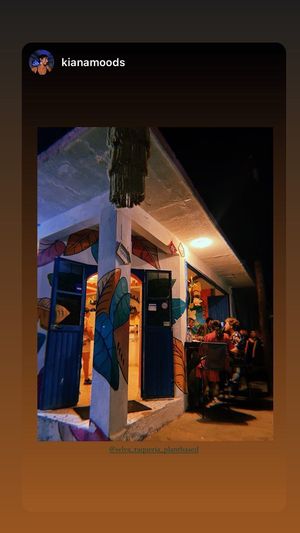  at Selva Taqueria Plantbased in Cabo San Lucas