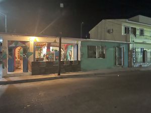 Outsidee  at Selva Taqueria Plantbased in Cabo San Lucas