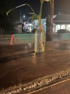   at Selva Taqueria Plantbased in Cabo San Lucas