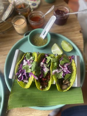 3 different tacos  at Selva Taqueria Plantbased in Cabo San Lucas