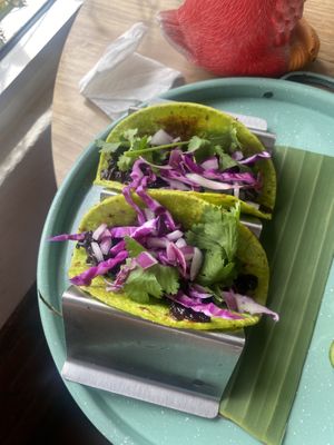 The hibiscus tacos  at Selva Taqueria Plantbased in Cabo San Lucas