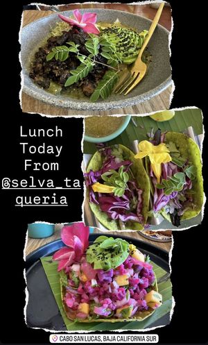   at Selva Taqueria Plantbased in Cabo San Lucas