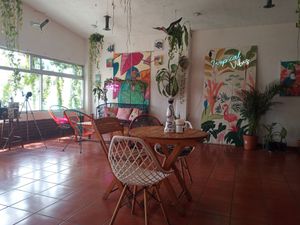 No air con inside but fans make it OK at Selva Taqueria Plantbased in Cabo San Lucas